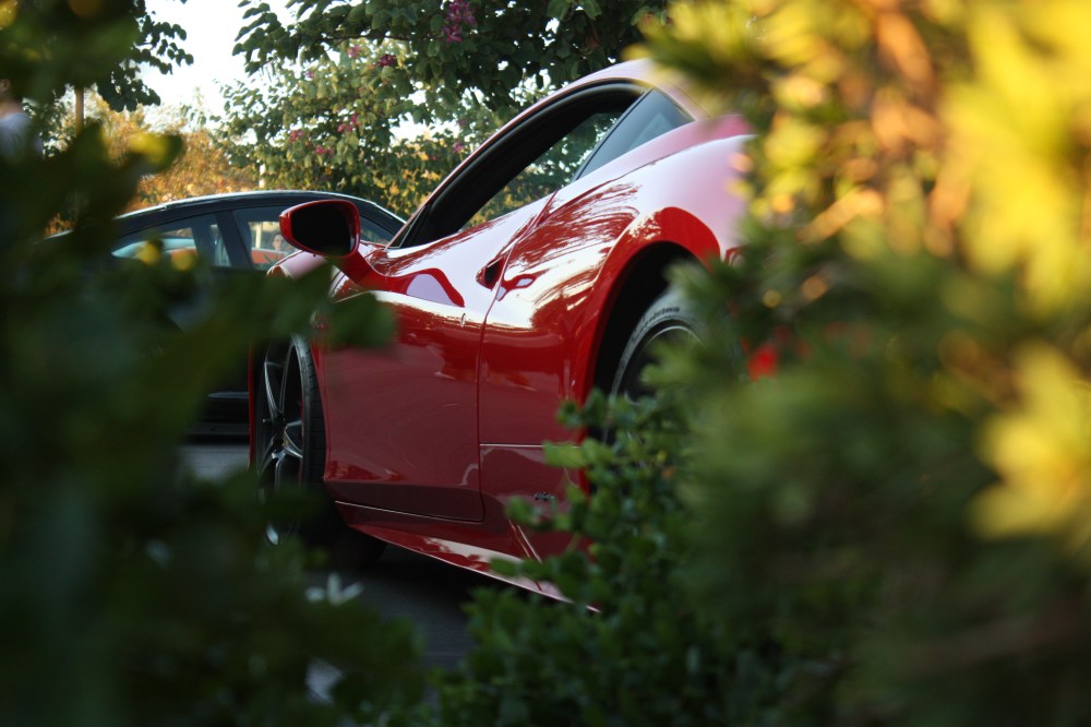 458 through bushes